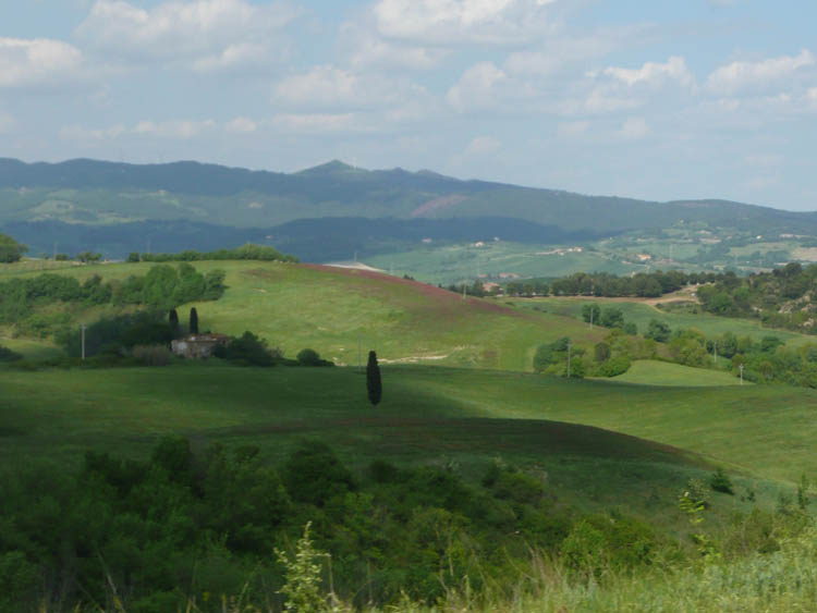 Rolling Hills Bolgheri and Castagneto C.ccii